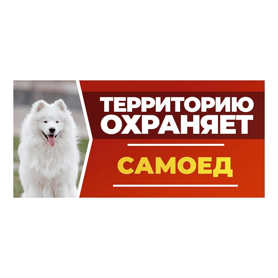 Табличка, DANGER DOG, Самоед, на забор, 30см х 14см #1