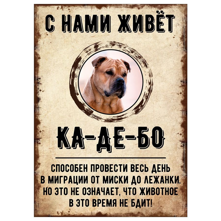 Табличка, декоративная, DANGER DOG, С нами живет Ка-де-бо, 18см х 25см  #1