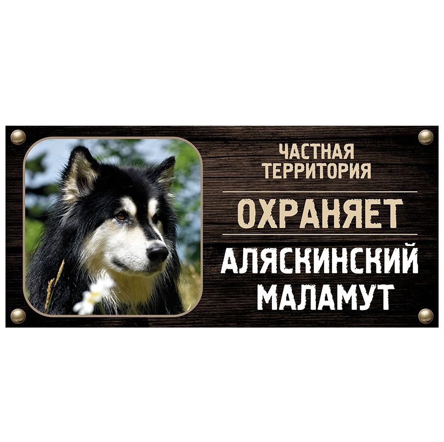 Табличка, Злая собака, Территорию охраняет Аляскинский маламут, на металлической основе, 30см х 14 см, #1