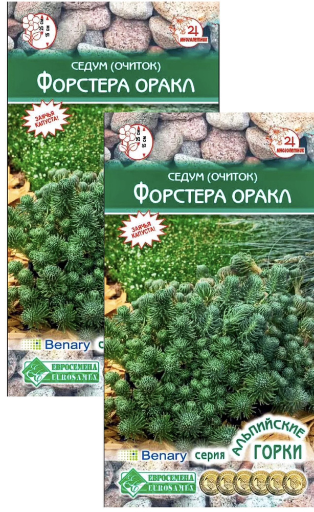 Седум (очиток) Форстера ОРАКЛ, 2 пакета, семена 10 шт, Евросемена  #1