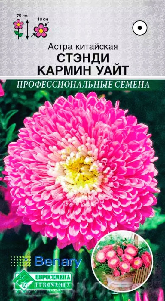 Астра китайская СТЭНДИ КАРМИН УАЙТ, 1 пакет, семена 10 шт, Евросемена  #1