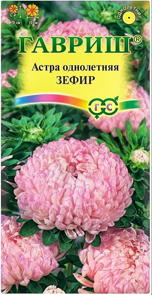 Астра пионовидная Зефир (нежно-розовая), 1 пакет, семена 0,3 гр, Гавриш, однолетняя  #1