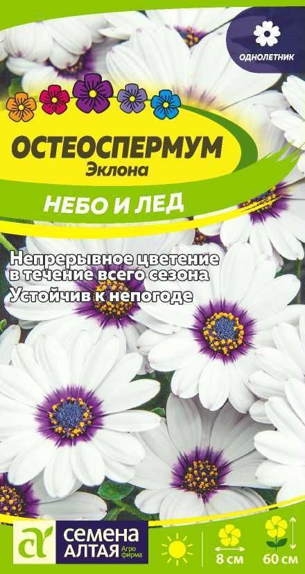 Семена Остеоспермум Небо и Лед 0,1г #1