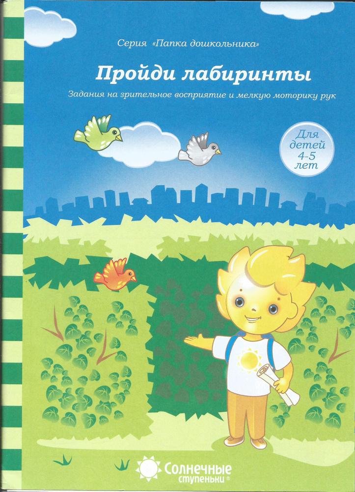 Пройди лабиринты. Задания на зрительное восприятие и мелкую моторику рук. 4-5 лет. Папка дошкольника. #1