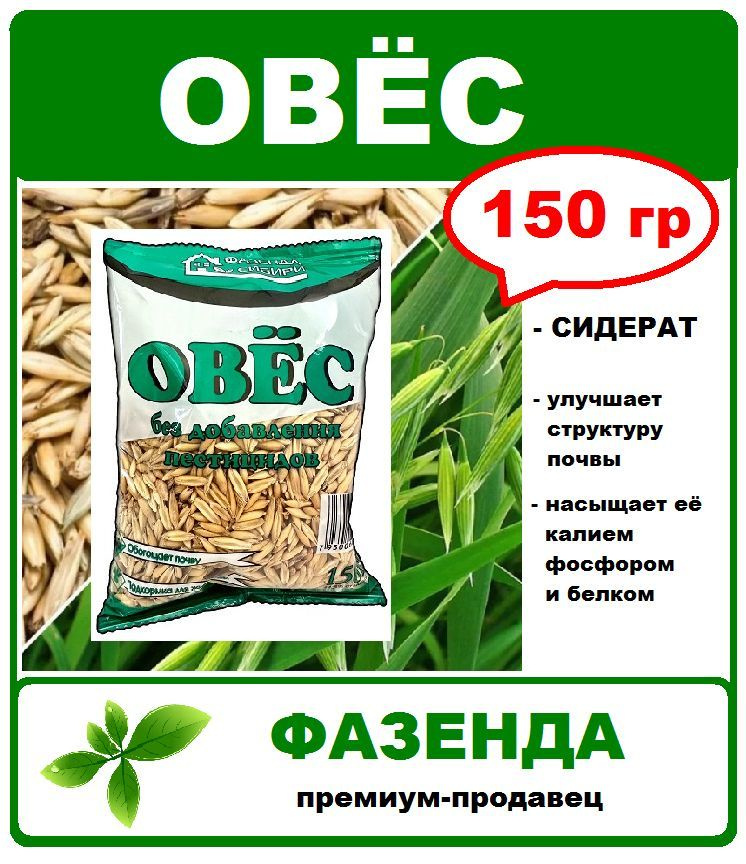 Овес семена 150 гр. Сидерат, улучшитель почвы. Без добавления пестицидов. Фазенда Сибири  #1