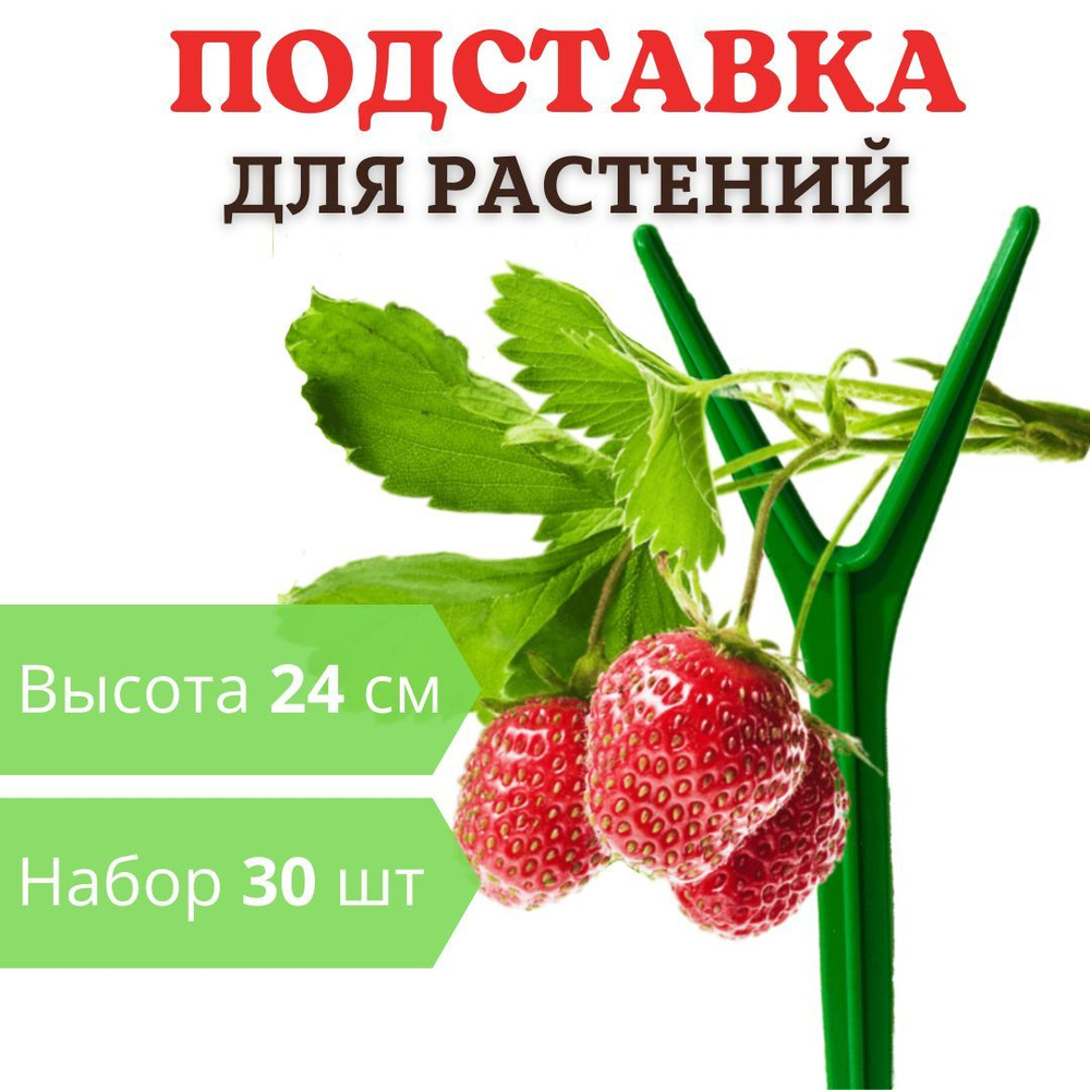 БМ Опора для растений,5см,30шт #1