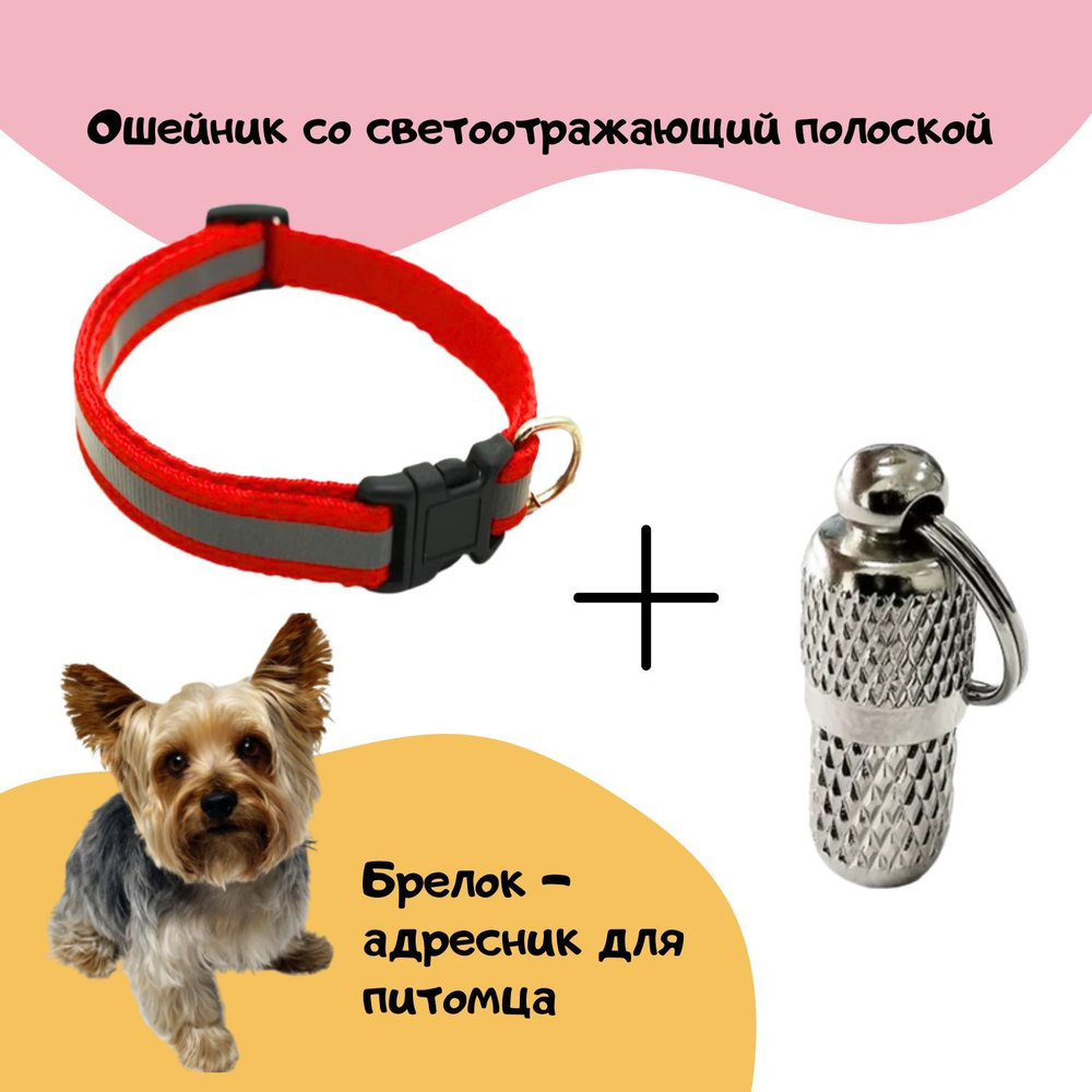 Ошейник с адресником Pet Stuff красный для собак и кошек мелких пород  #1