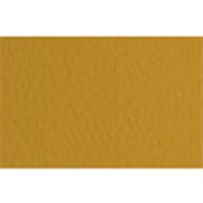Бумага для пастели (10 лист.) Fabriano "Tiziano" 160 г/м2, 70х100 см, 52811006 Mandorla/Песочный  #1