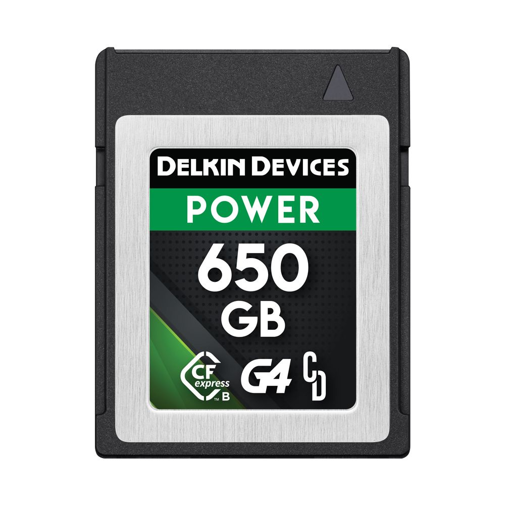 Delkin Devices Карта памяти 640 ГБ  (DCFXBP650G4) #1