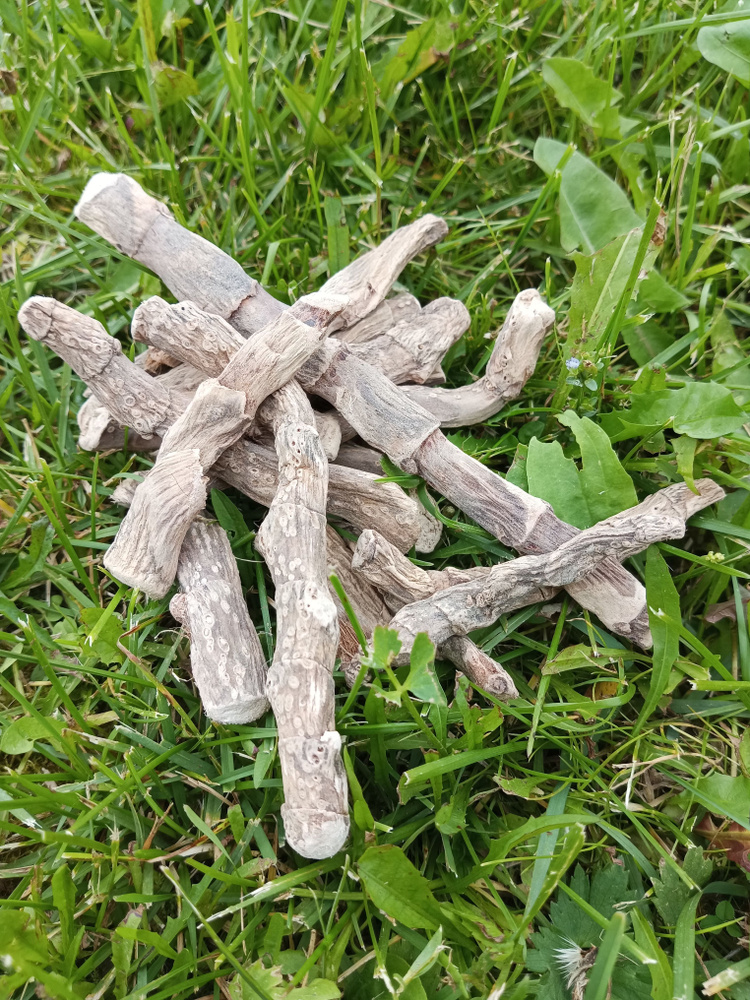 Аир болотный корень, 250гр аира корневища - купить с доставкой по ...