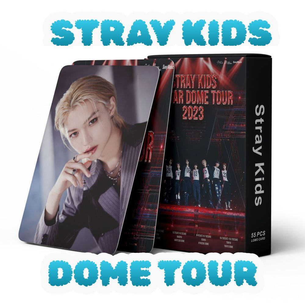 Набор коллекционных карточек STRAY KIDS DOME TOUR #1