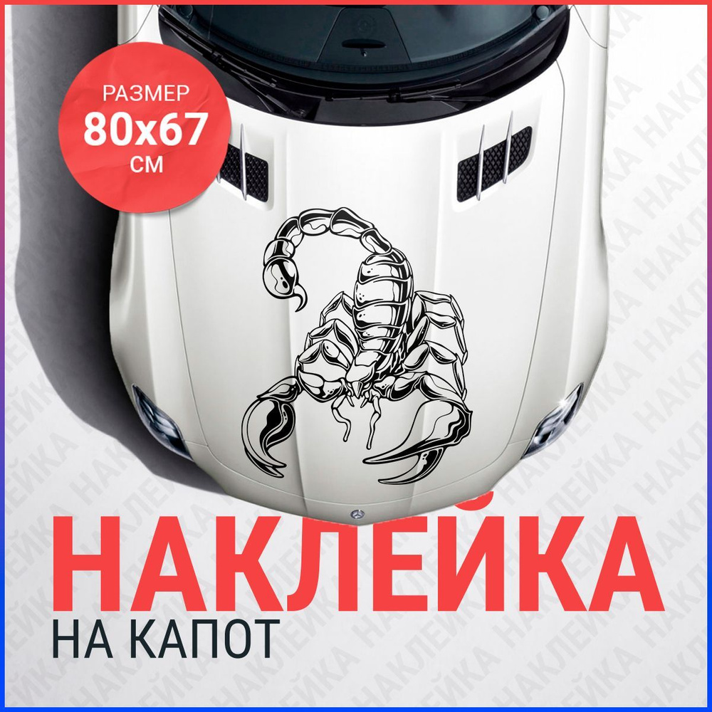 Наклейка на капот 80х67 Скорпион #1