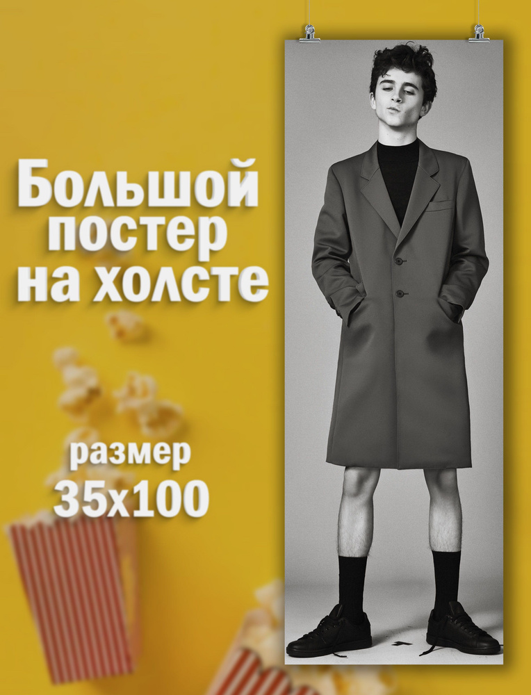 Большой постер на стену - Тимоти Шаламе кино актер (1) 35х100 см  #1