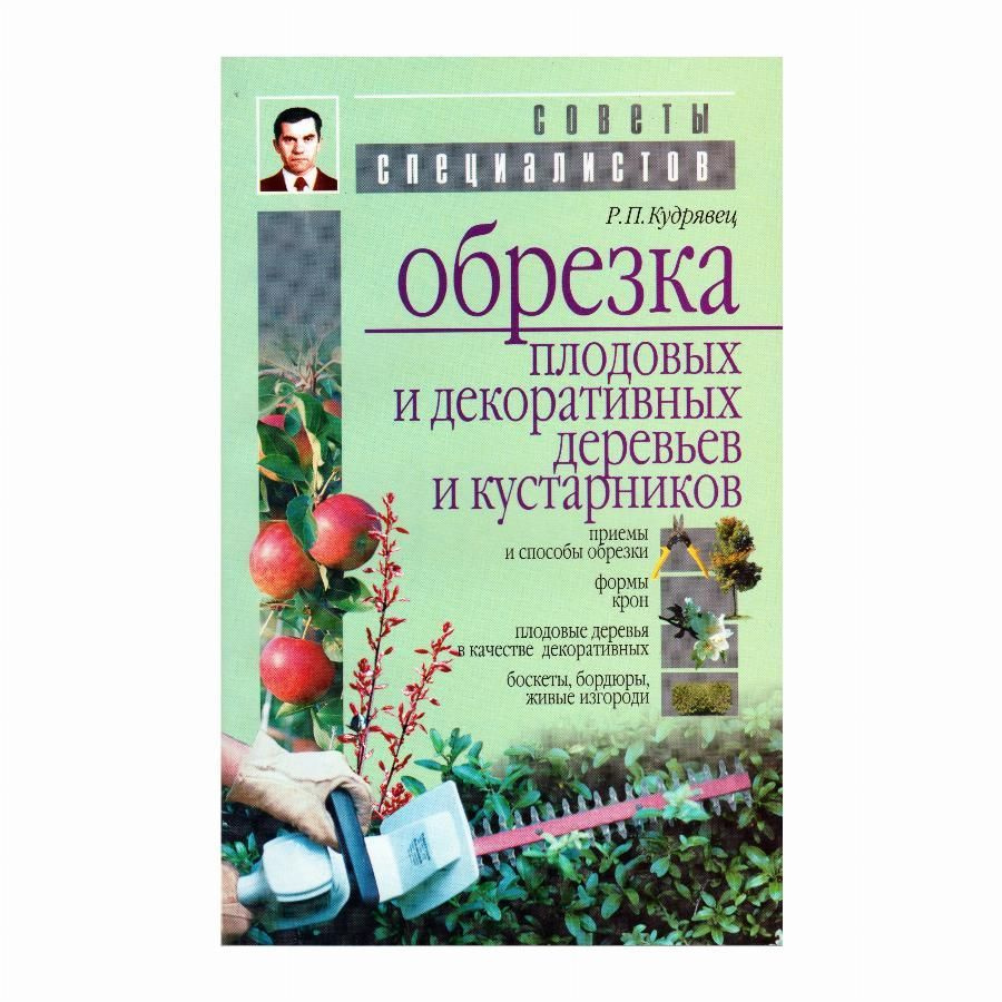 Обрезка плодовых и декоративных деревьев и кустарников | Кудрявцев ...