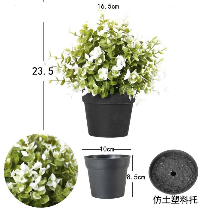 Купить Мини-зеленые растения, маленькие растения в горшках ...