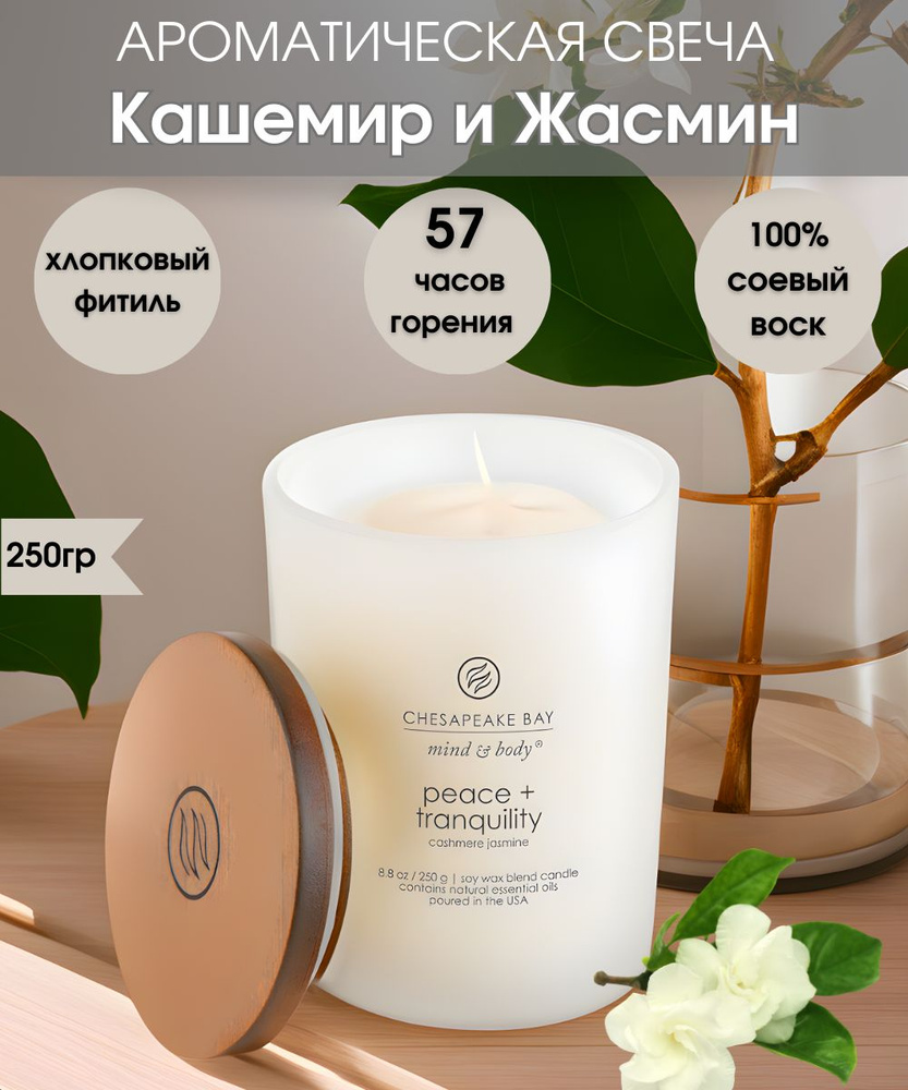 Chesapeake Bay Candle Свеча ароматическая "Мир и Спокойствие", 11 см х 8.2 см, 1 шт  #1