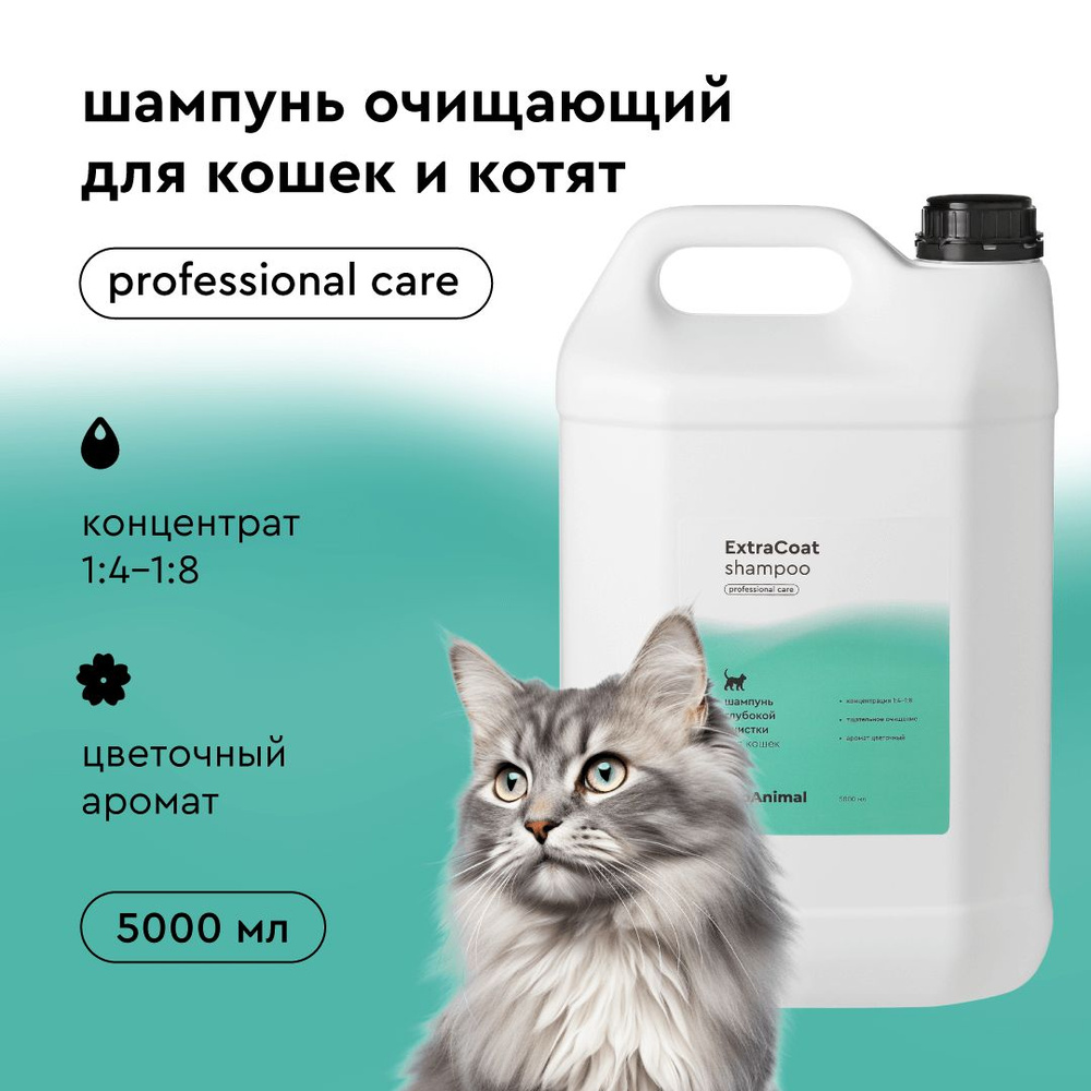 Шампунь для кошек ProAnimal for Cats ExtraCoat, 5 литров, очищающий от органических загрязнений длинношерстных #1