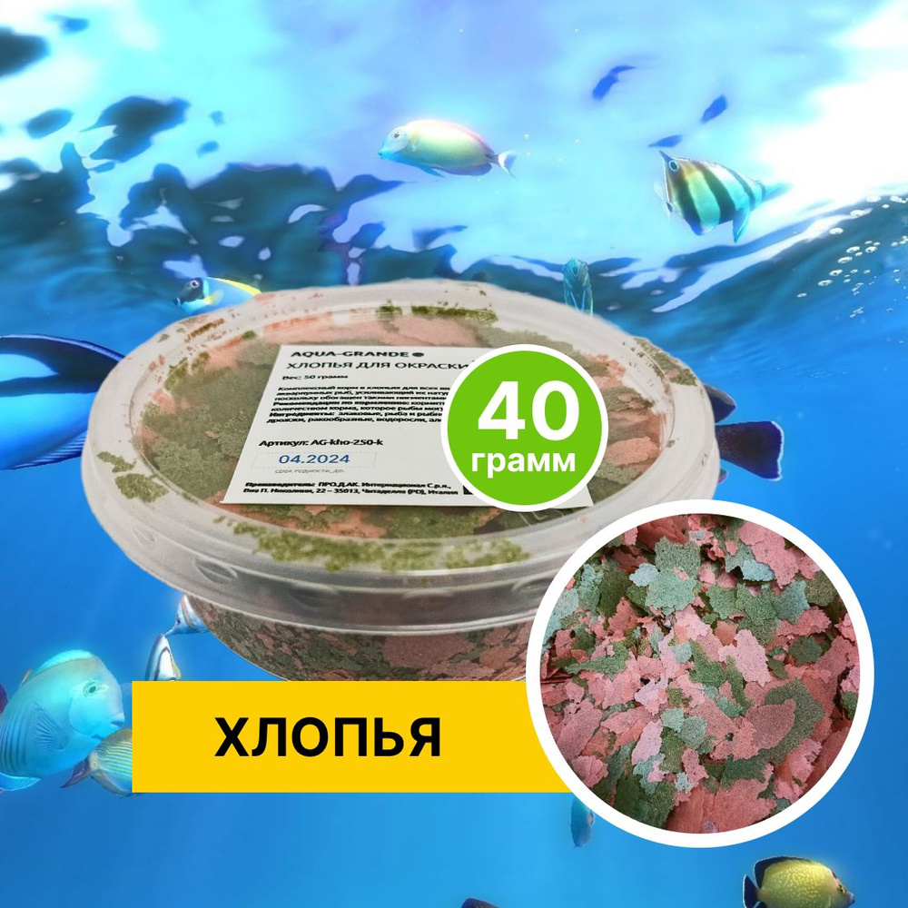 Корм сухой - Корм для рыбок аквариумных AQUA-GRANDE, хлопья для окраски, 40г., контейнер  #1