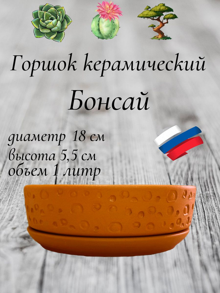 Керамический горшок "Бонсай" для бонсай, кактусов и суккулентов, диаметр 18 см, высота 5,5 см, терракот #1