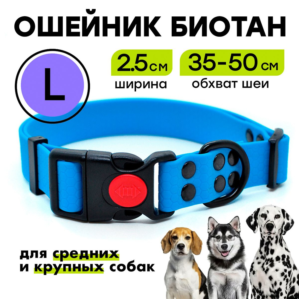 Ошейник из биотана 35-50 см (L), 25 мм, Woofy "Iron", водостойкий, для средних и крупных собак, голубой #1