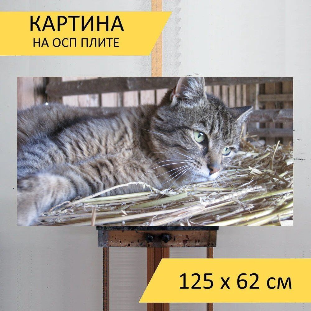 LotsPrints Картина "Кот, скумбрия, солома 51", 125  х 62 см #1