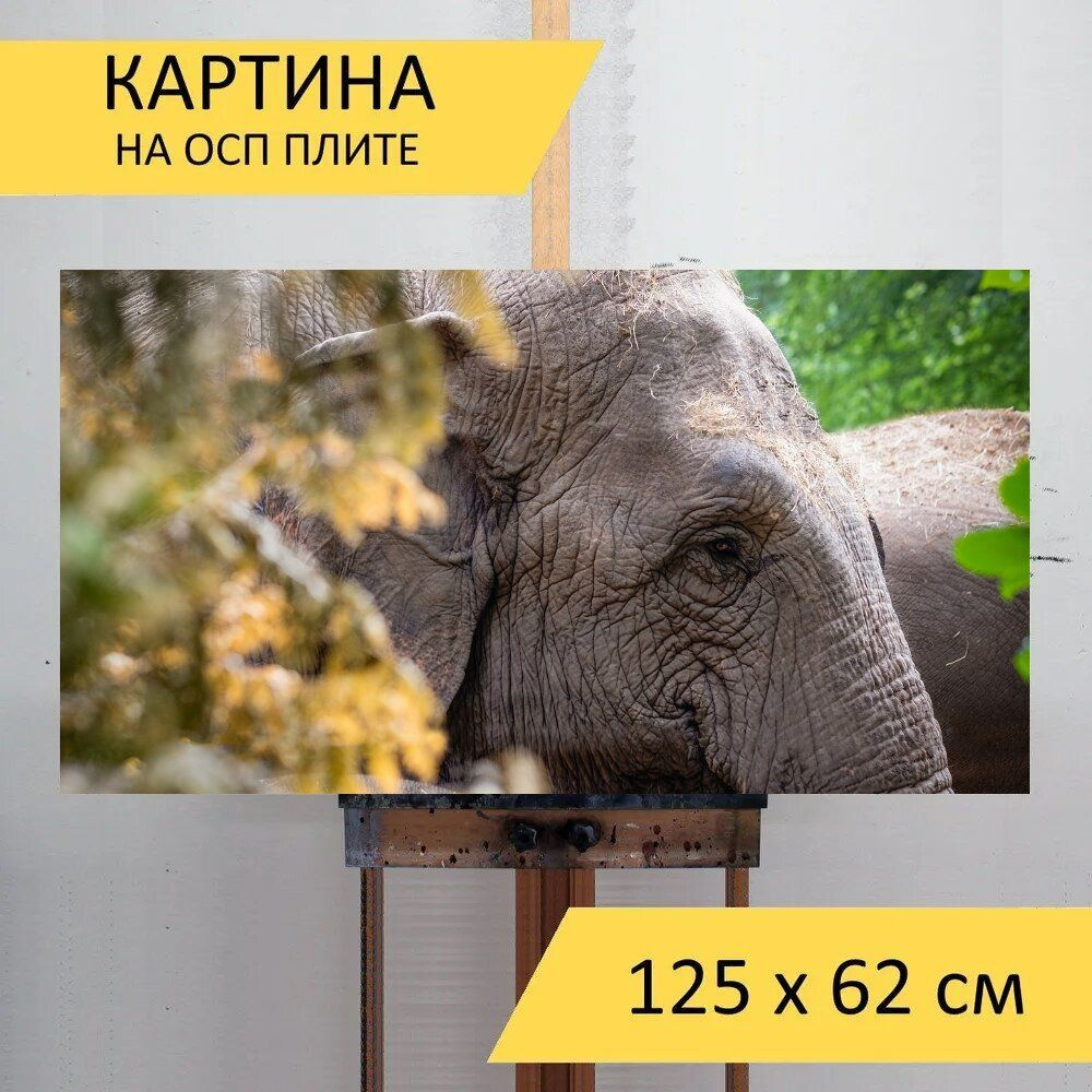 LotsPrints Картина "Слон, животное, природа 57", 125  х 62 см #1