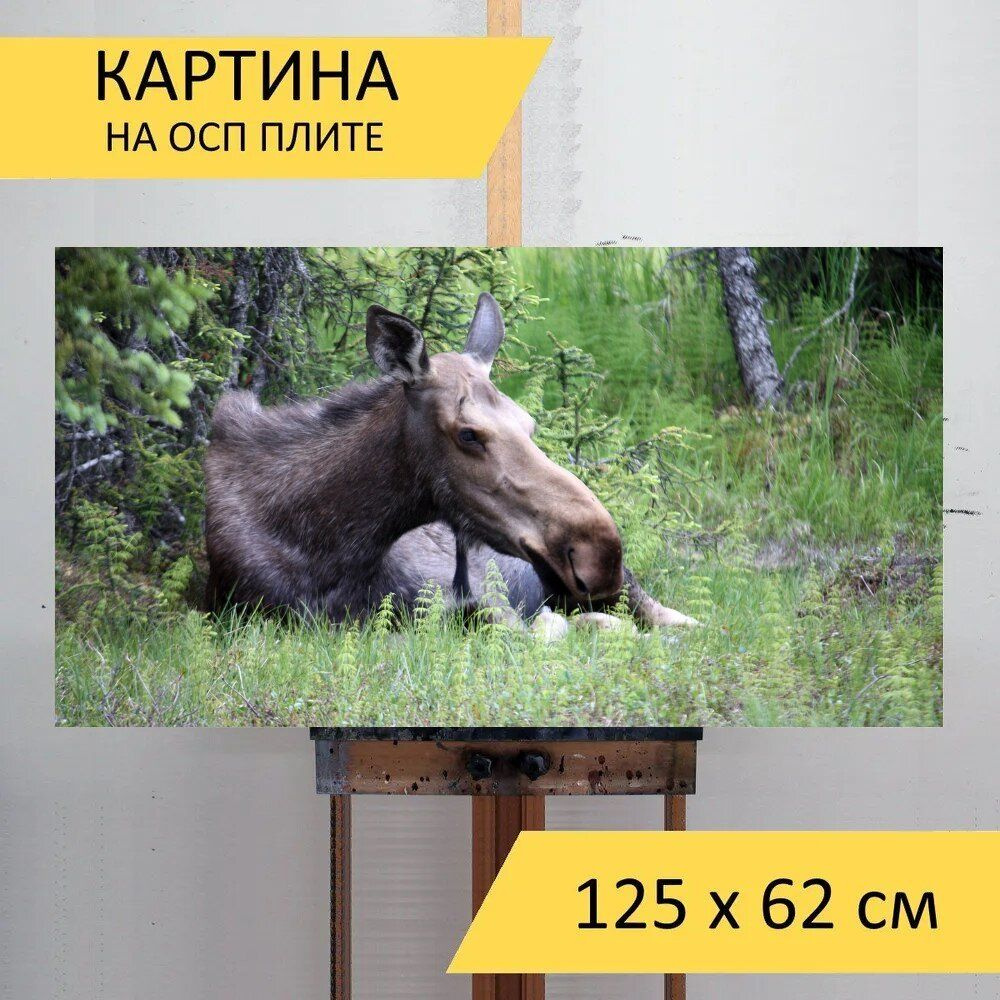 LotsPrints Картина "Лось, аляска, гомер 06", 125  х 62 см #1