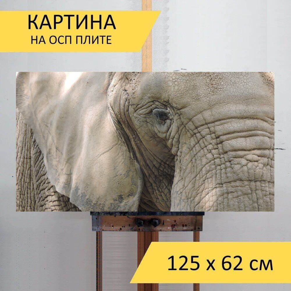 LotsPrints Картина "Слон, зоопарк, дикая природа 72", 125  х 62 см #1
