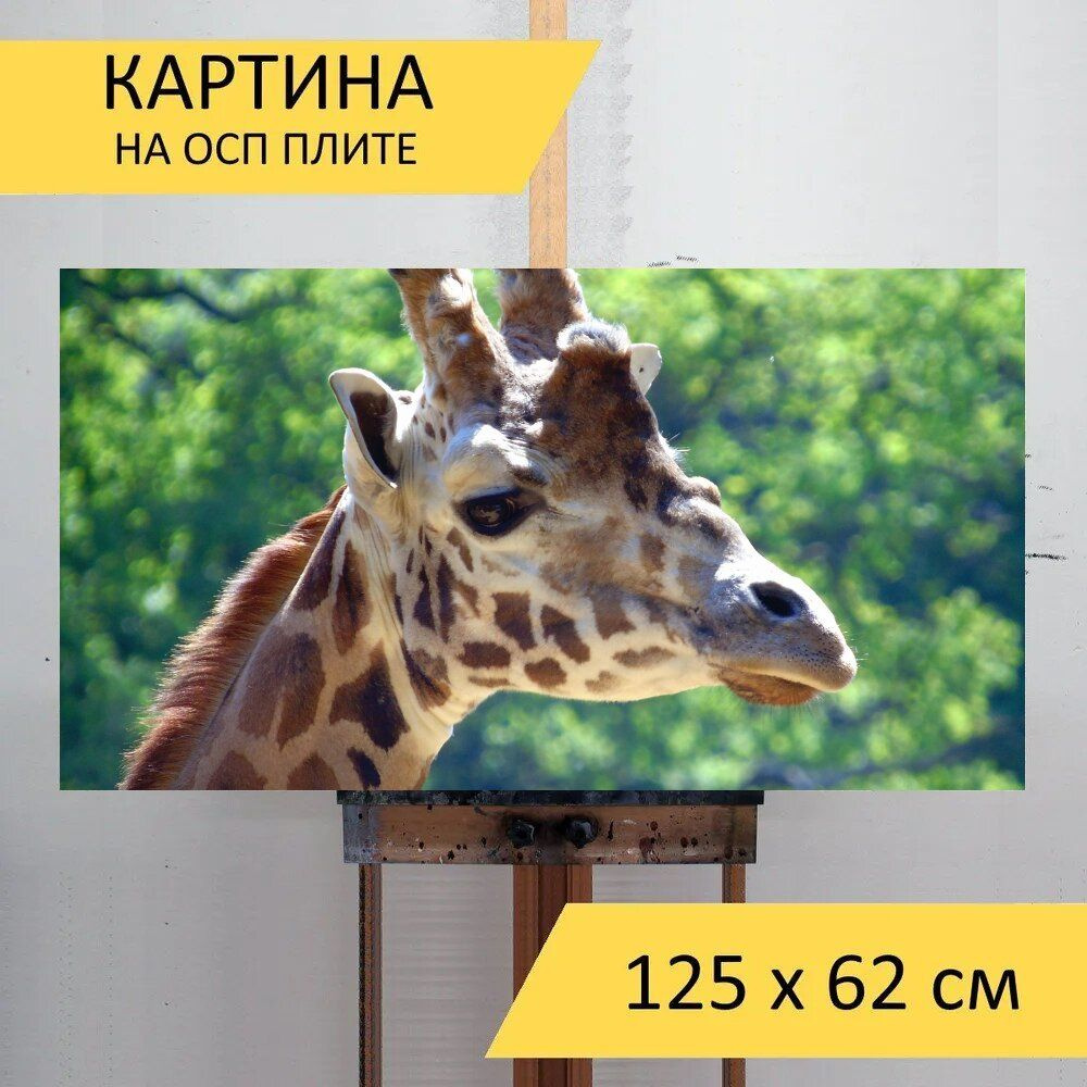 LotsPrints Картина "Жирафа, животное, дикий 63", 125  х 62 см #1