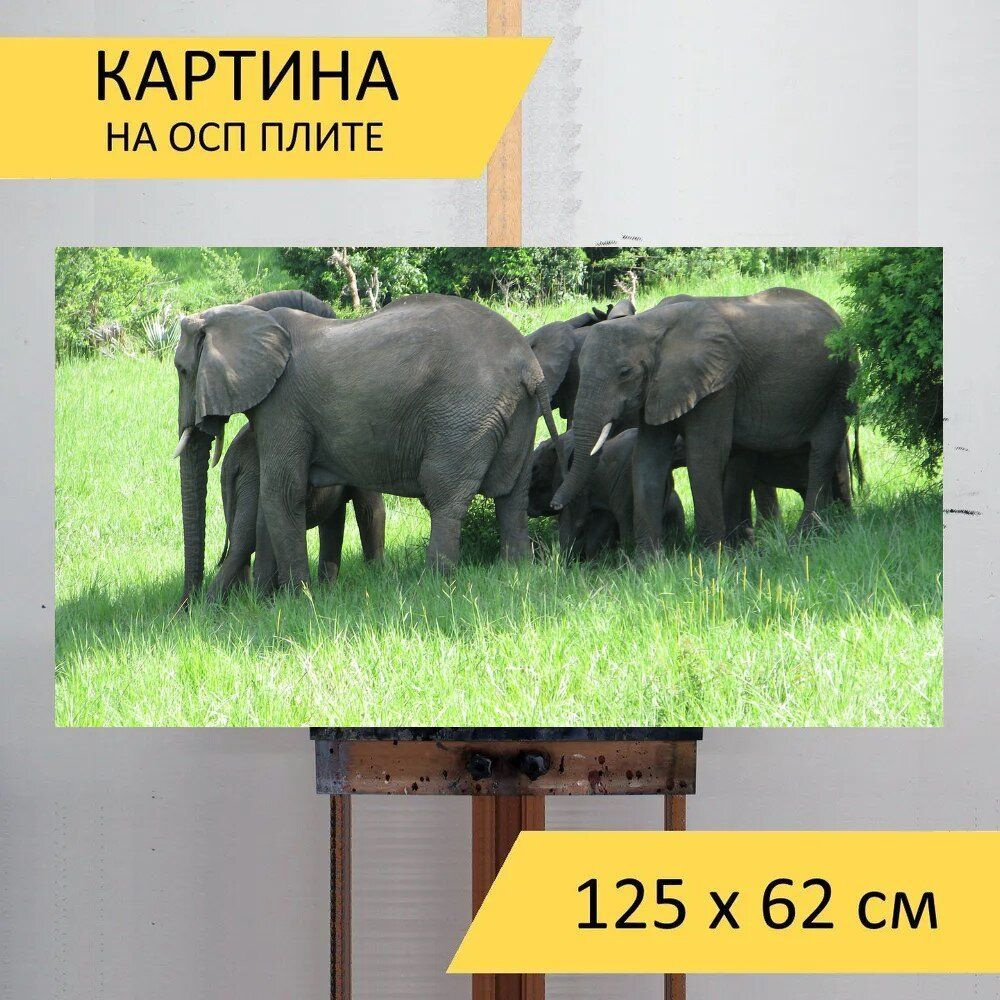 LotsPrints Картина "Слоны, животные, млекопитающие 44", 125 х 62 см  #1