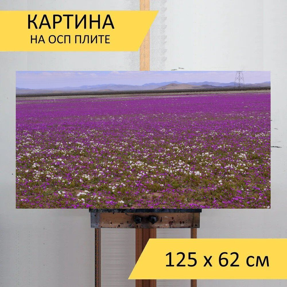 LotsPrints Картина "Пустыня, цвести, цветок 62", 125  х 62 см #1