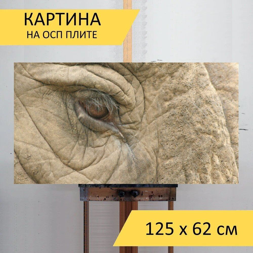 LotsPrints Картина "Слон, глаз, слоны 68", 125  х 62 см #1