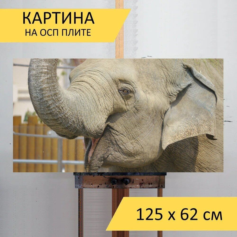 LotsPrints Картина "Слон, животное, джой 27", 125  х 62 см #1