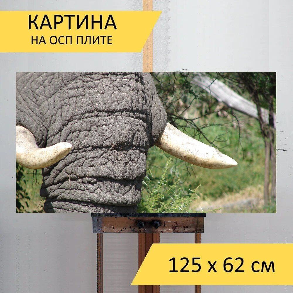 LotsPrints Картина "Слон, бивни, дикий 26", 125  х 62 см #1