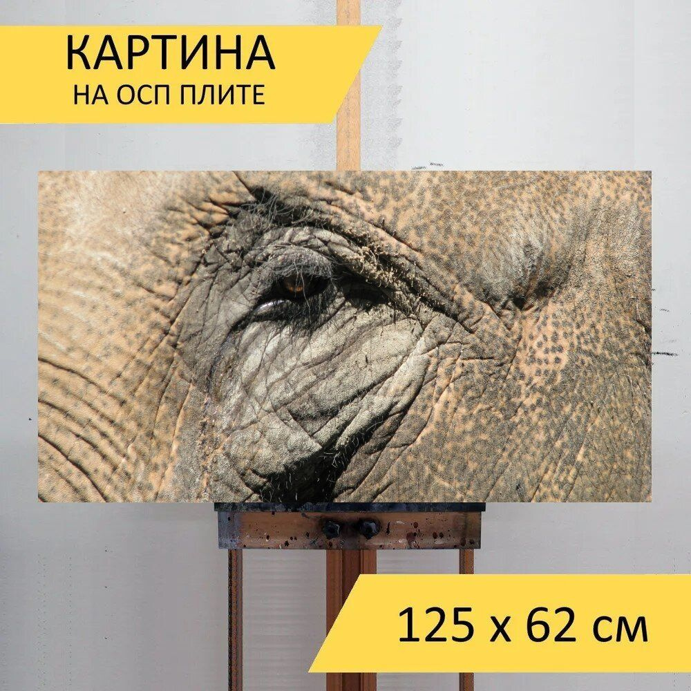 LotsPrints Картина "Слон, зоопарк, африке 39", 125  х 62 см #1