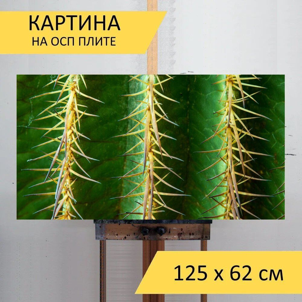 LotsPrints Картина "Кактус, шпора, шипы 58", 125  х 62 см #1