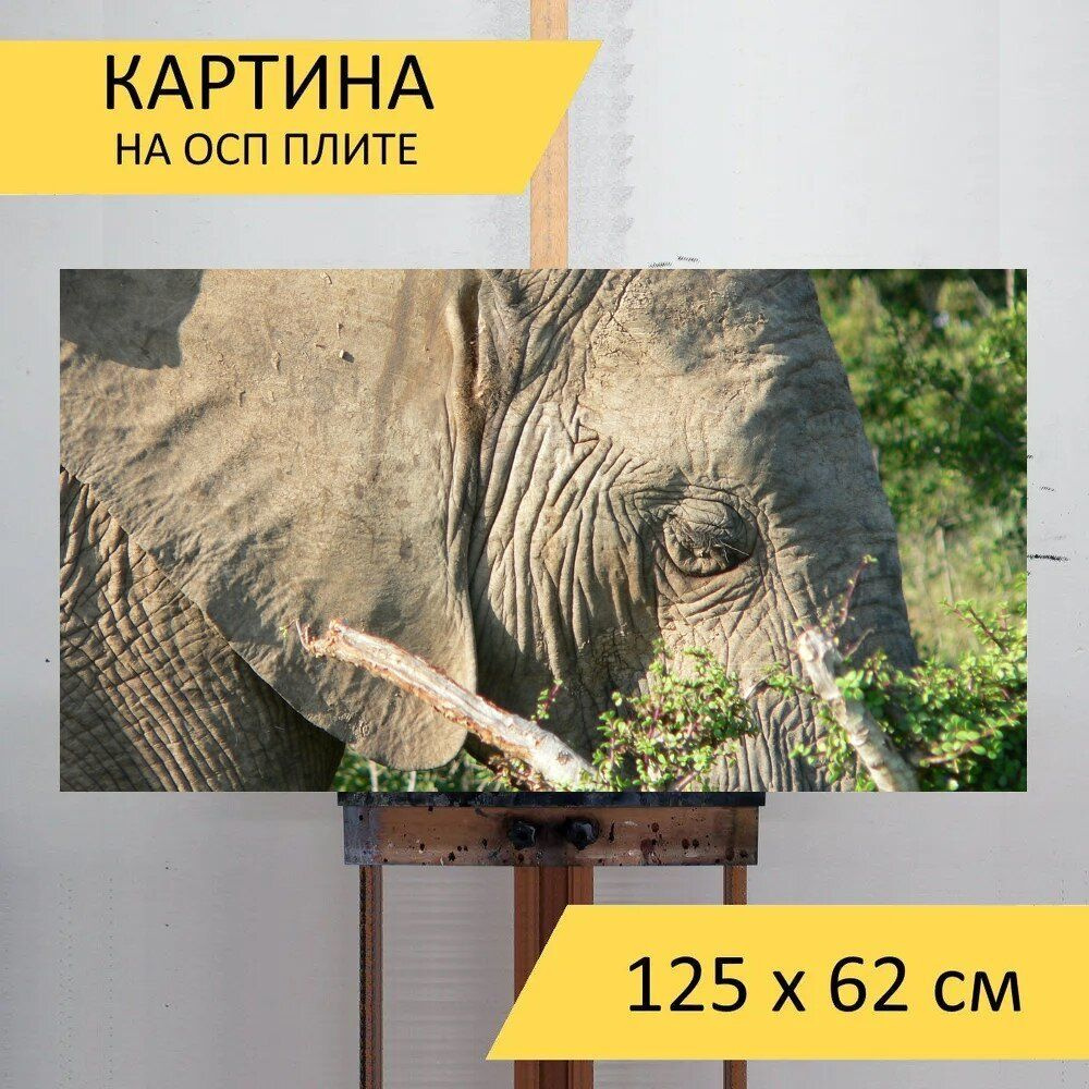 LotsPrints Картина "Слон, голова, закрывать 02", 125  х 62 см #1