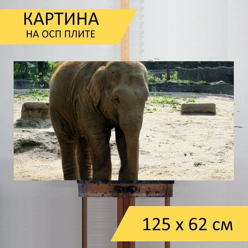 LotsPrints Картина "Слон, слоны, природа 52", 125  х 62 см #1