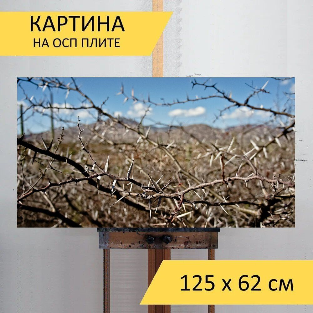 LotsPrints Картина "Пустыня, шипы, кактус 44", 125  х 62 см #1