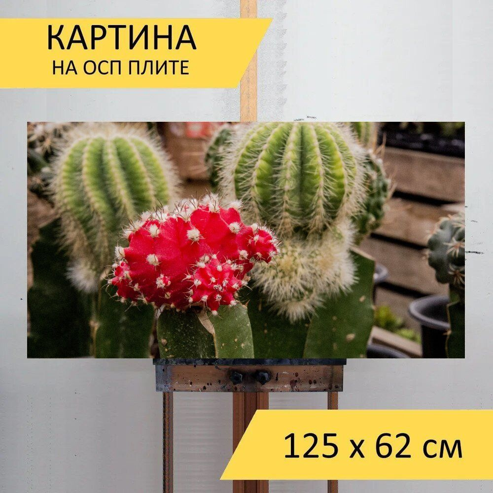 LotsPrints Картина "Кактус, плод кактуса, сочные растения 64", 125 х 62 см  #1