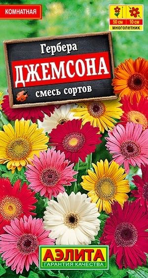 ГЕРБЕРА ДЖЕМСОНА. Семена. Вес 0,04 гр. Потрясающее растение для комнат и оранжерей.  #1