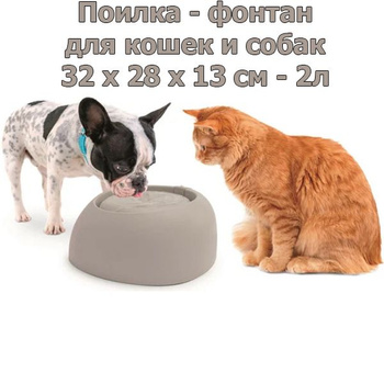 Imac pet store fountain