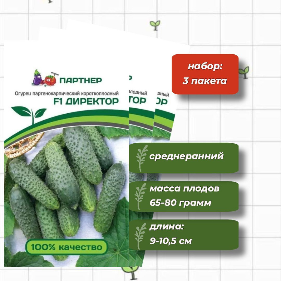 Купить Семена Огурцов Директор F1