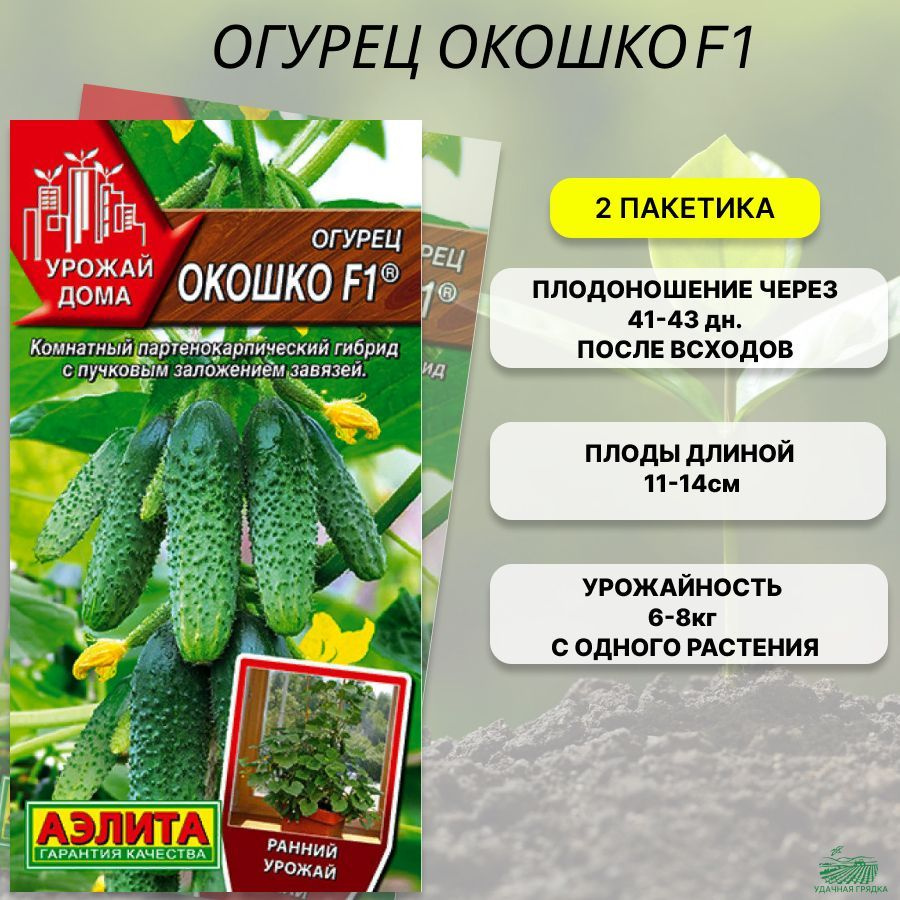 Купить Семена Огурцов Окошко