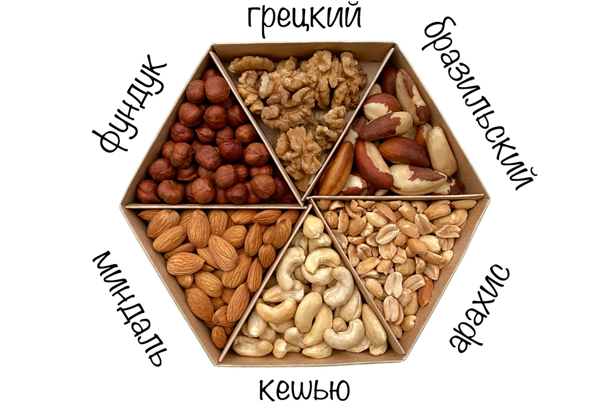 Текстовое описание изображения