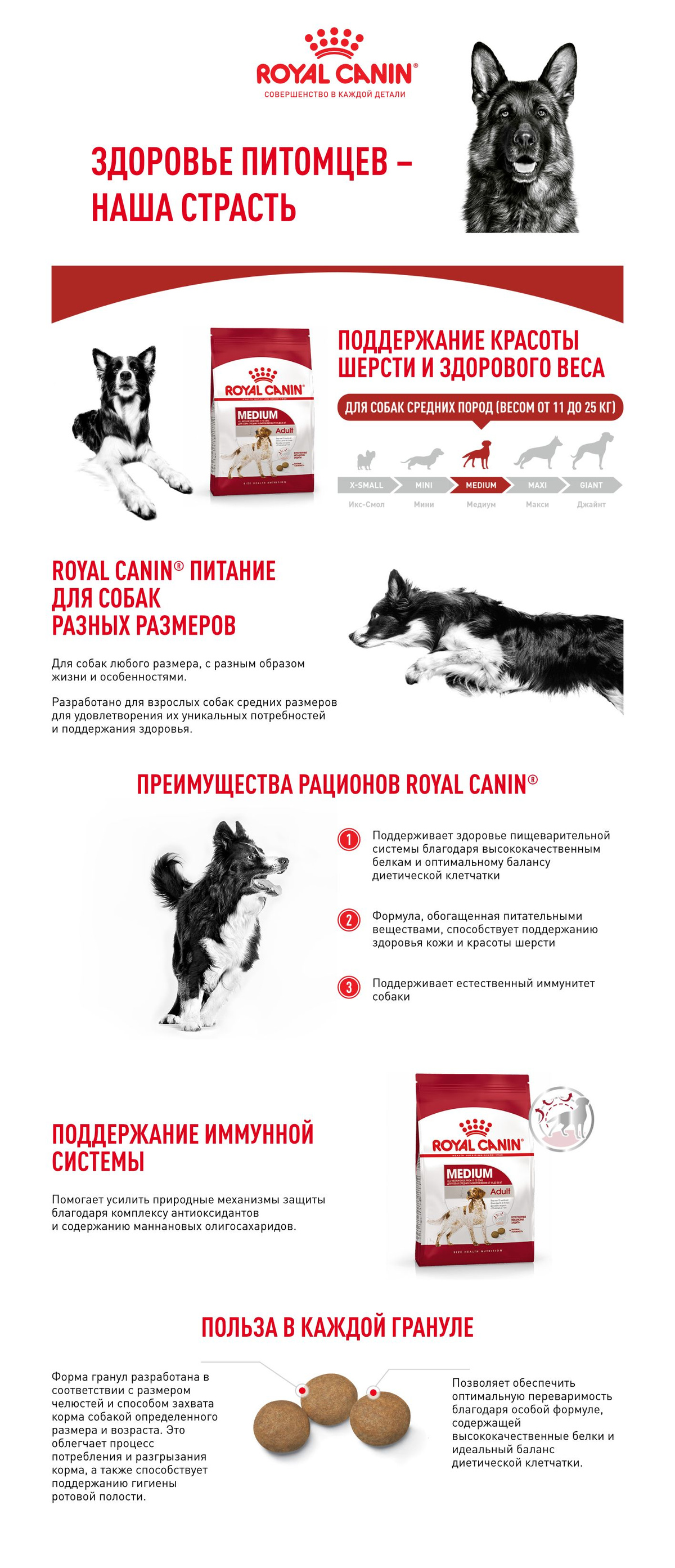 Сухой корм для собак средних пород Royal Canin Medium Adult