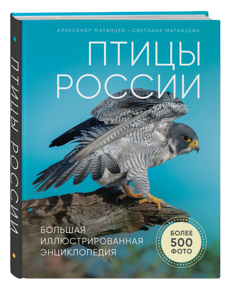 Птицы России. Большая иллюстрированная энциклопедия | Матанцев Александр Николаевич  #1