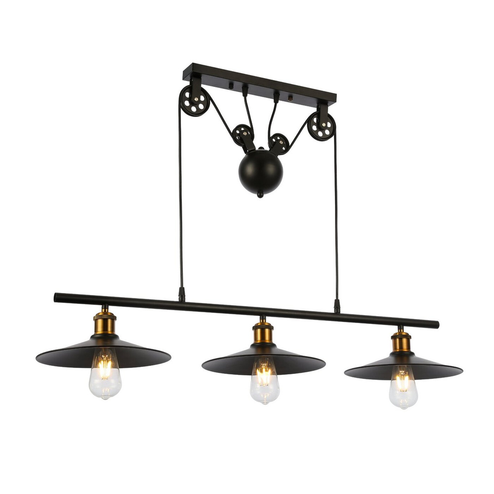 Светильник подвесной EVOLUCE цвет черный коллекция ESPERAZZA в стиле Loft цоколь E27 ламп 3х60W, SLE120503-03 #1