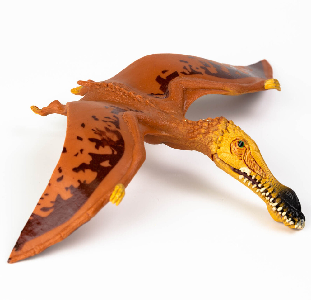 Фигурка животного Derri Animals Динозавр Птерозавр, для детей, игрушка коллекционная декоративная, 83156, #1