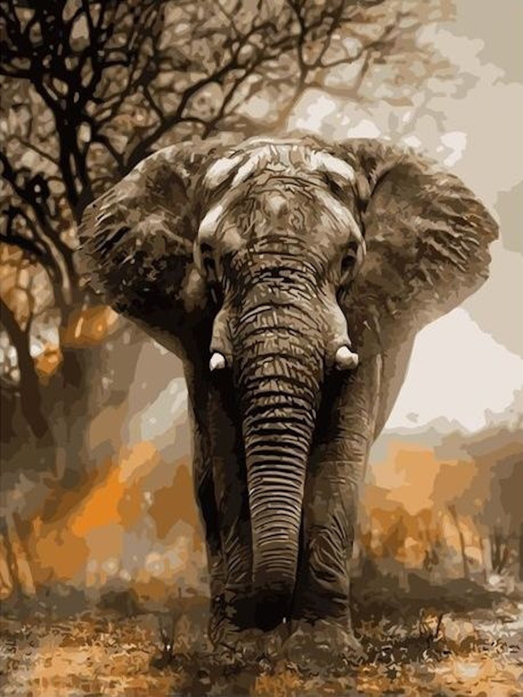 Картины по номерам Слон. Африка 40х50 см Hobby Home #1